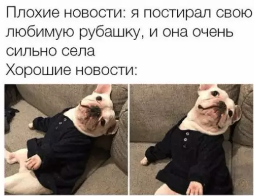 Смешная картинка №217525