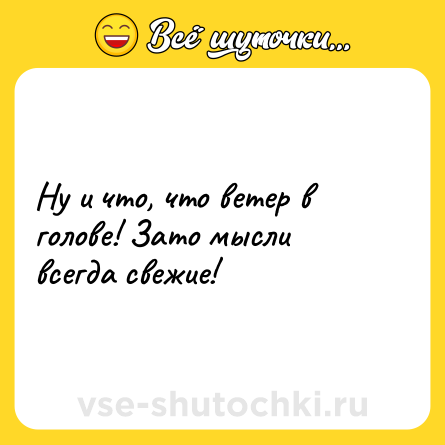 Шутка: Ну и что, что ветер в голове! Зато мысли всегда свежие!