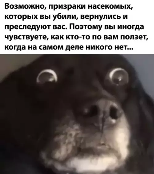 Смешная картинка №505595