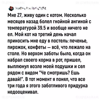 Смешная картинка №705448
