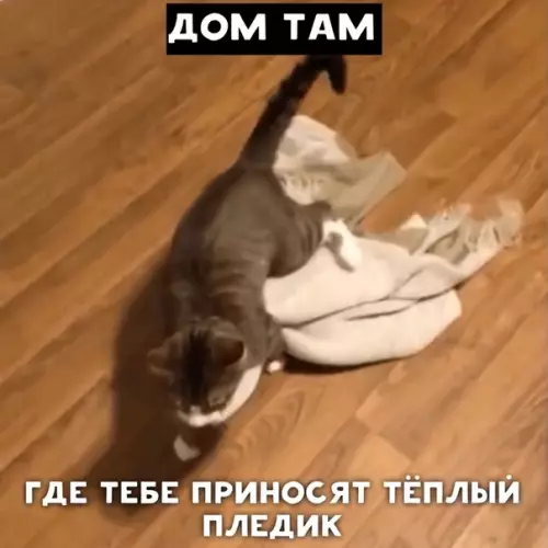 Смешная картинка №393662 О доме
