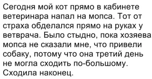 Смешная картинка №356764 Помог собачке
