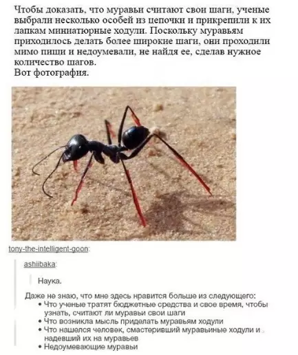 Смешная картинка №315135
