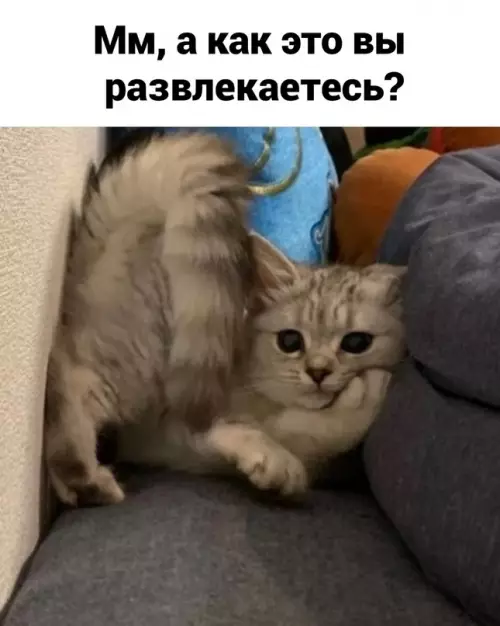 продолжение Смешная картинка №708740 Идeaльнo