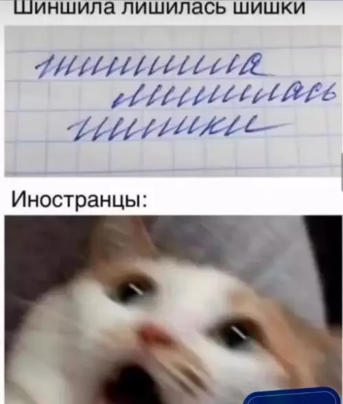 Смешная картинка №708289