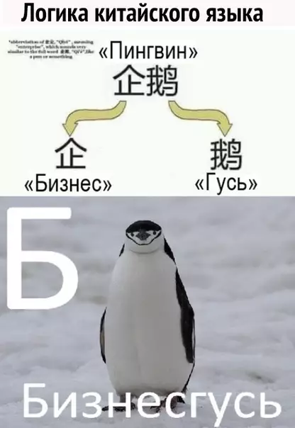 Смешная картинка №501510 В принципе, логика есть