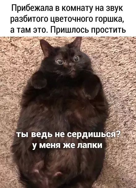 Смешная картинка №496024