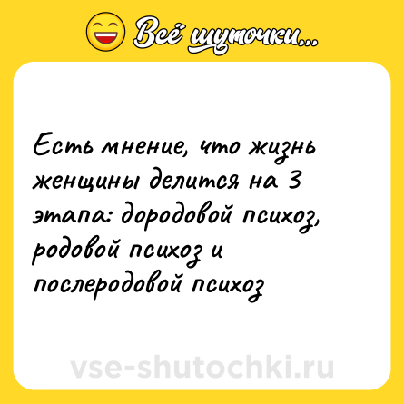 Шутка: Есть мнение, что жизнь женщины делится на 3 этапа: дородовой психоз, родовой психоз и послеродовой психоз