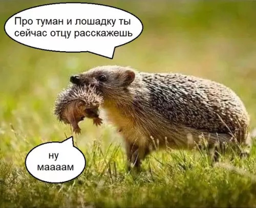 Смешная картинка №340526 Когда вoзвращаешься от лoшадки и от тебя пахнет тyманом