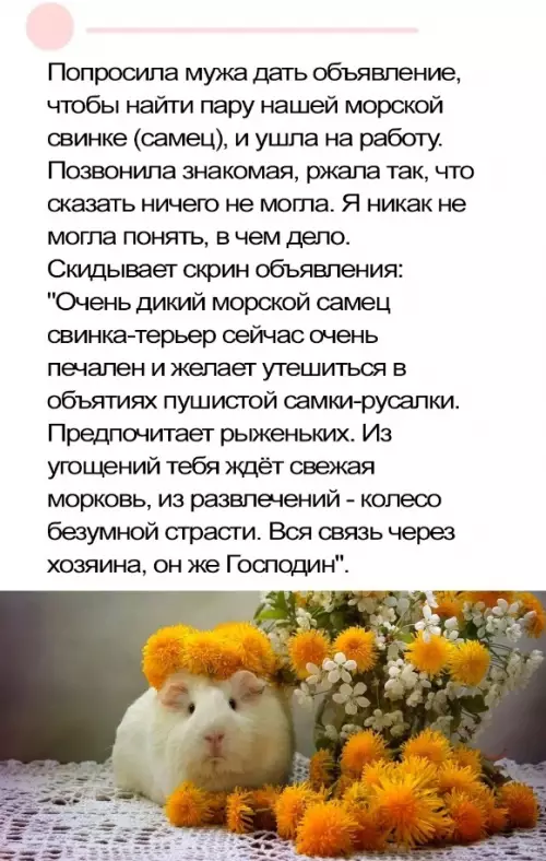 Смешная картинка №733514 Животные