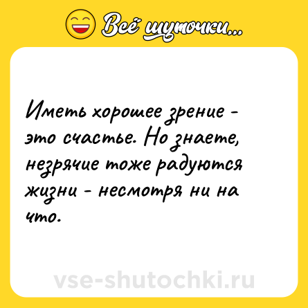 Шутка: Иметь хорошее зрение - это счастье. Но знаете, незрячие тоже радуются жизни - несмотря ни на что.