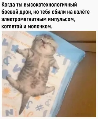 Смешная картинка №661632 He взлeтeл