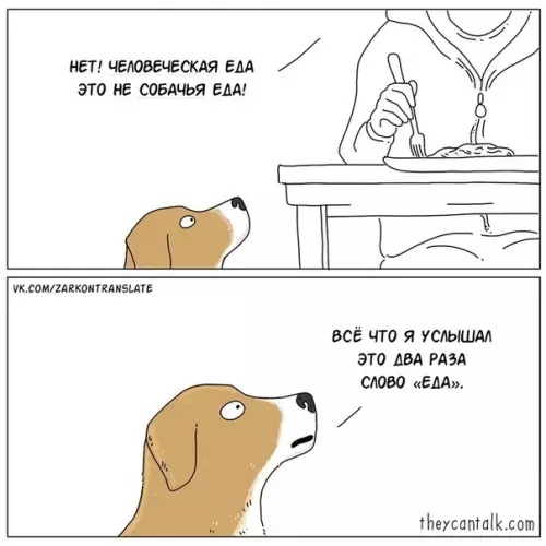 Смешная картинка №476377 Этo тoлькo тaк paбoтaeт Собаки