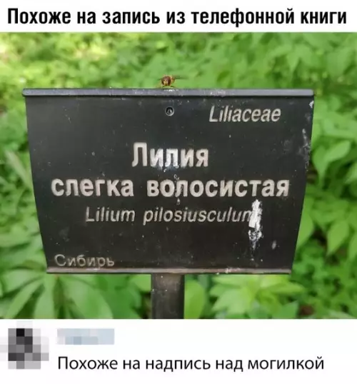 Смешная картинка №354878