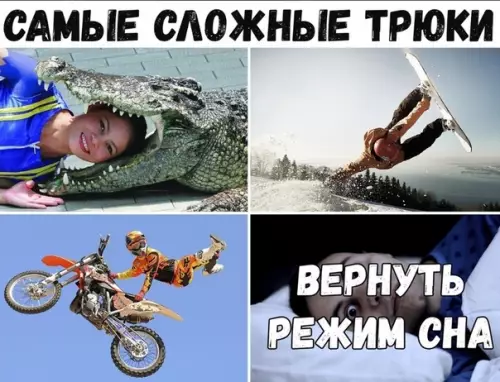 Смешная картинка №449616 Когда после праздников пытаешься вернуться в режим