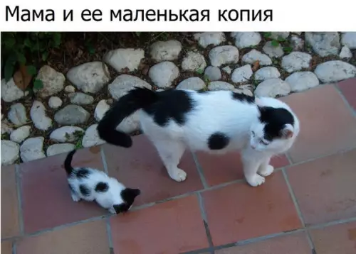 Смешная картинка №182363
