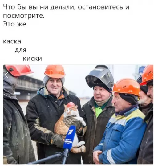 Смешная картинка №275846