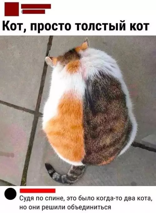 Смешная картинка №647813