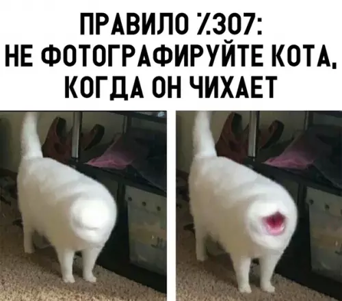 Смешная картинка №319386