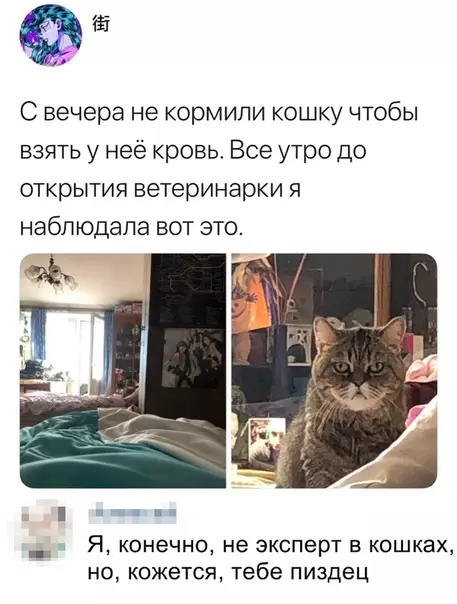 Смешная картинка №350056