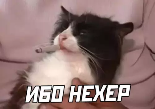 продолжение Смешная картинка №614945