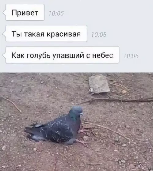 Смешная картинка №176881