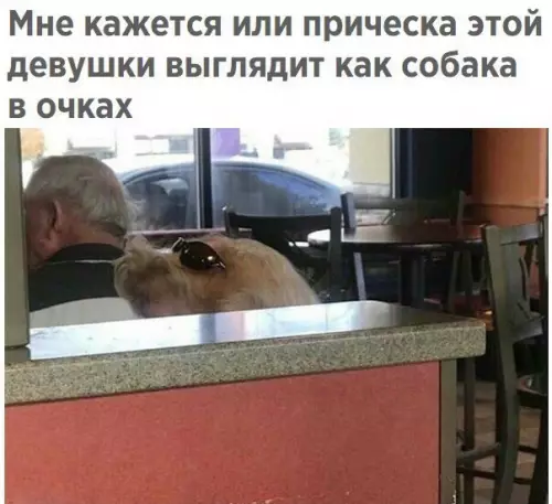 Смешная картинка №236303