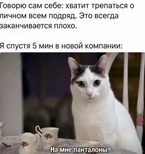 Тяжело быть душой компании 😹 - Говорю сам себе: хватит трепаться о личном всем подряд. Это