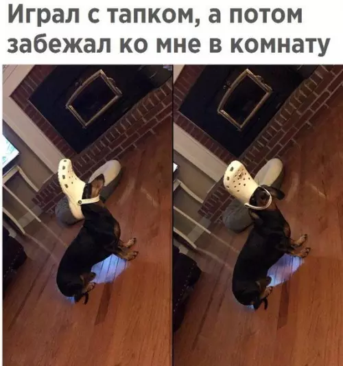 Смешная картинка №245968