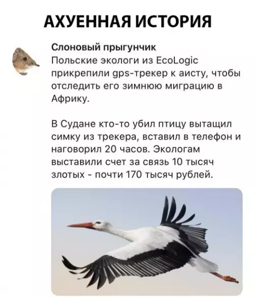 Смешная картинка №286436
