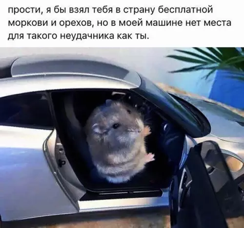 Смешная картинка №273874