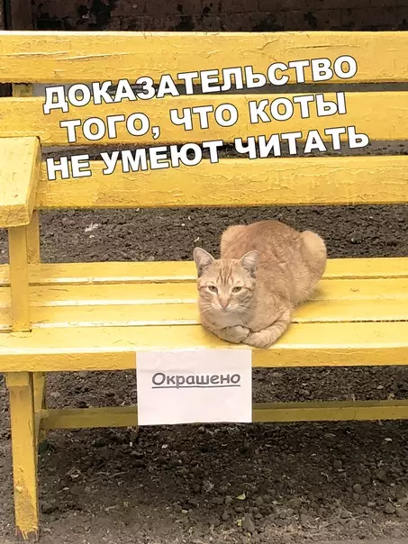 Смешная картинка №459949 Как хорошо, а то я подумал что он читал мой дневник