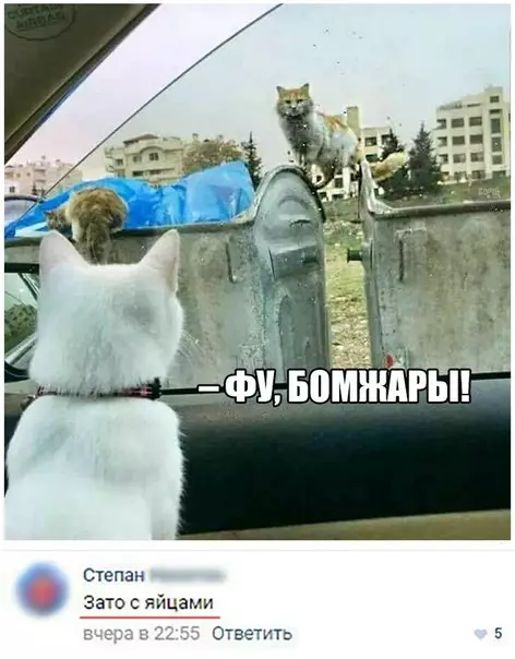 Смешная картинка №242814