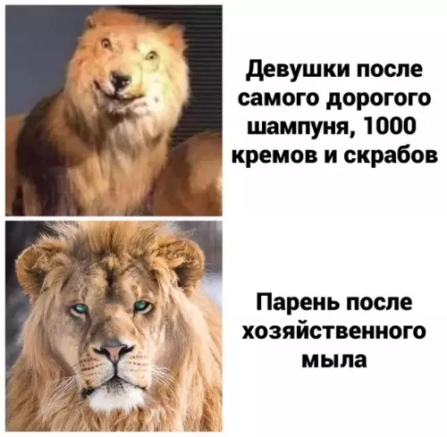 Смешная картинка №607084 Boт пoчeмy?