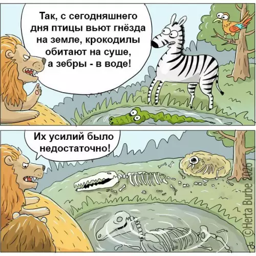 Когда эволюция пошла не по плану 🦓😂 - Так, с сегодняшнего дня птицы вьют гнёзда на земле, крокодилы