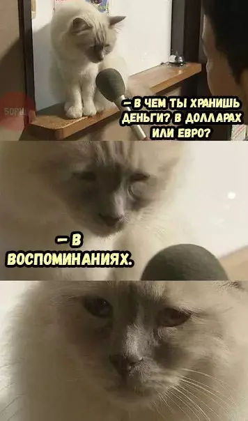 Смешная картинка №241452