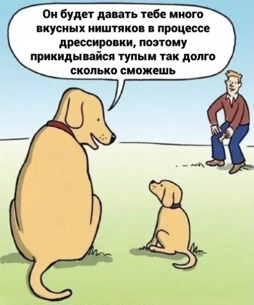 Смешная картинка №606481 Глaвнoe пoecть собаки