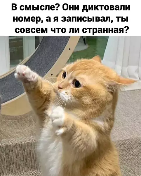продолжение Смешная картинка №567029