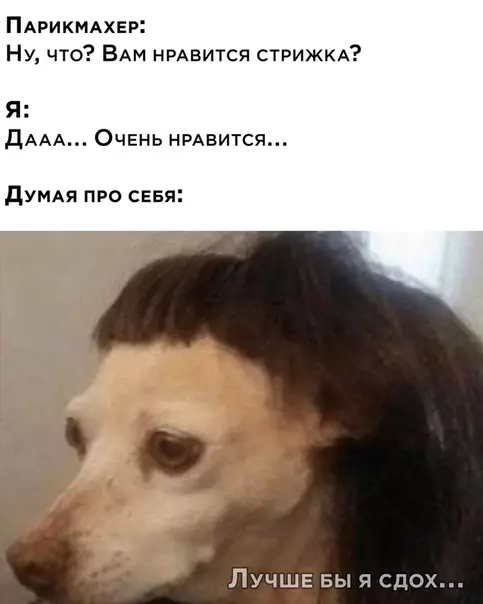 Смешная картинка №529367