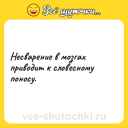 Шутка: Несварение в мозгах приводит к словесному поносу.