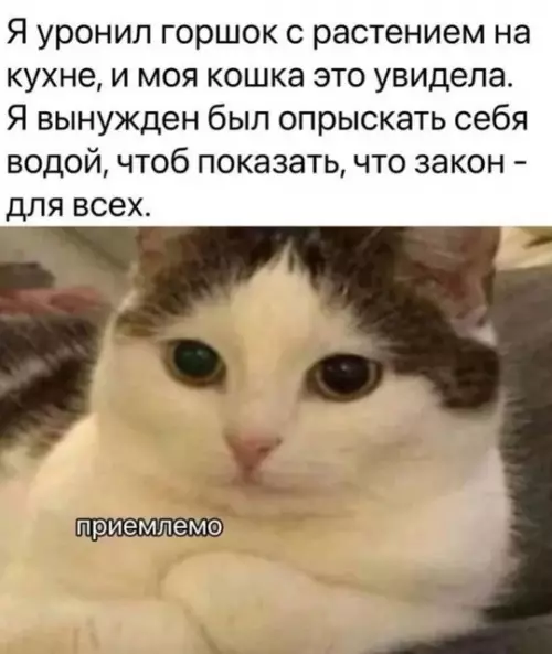 Смешная картинка №768645
