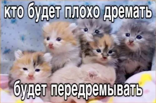 Смешная картинка №739493