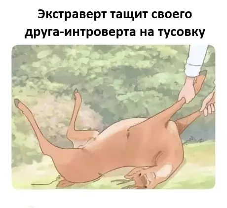 Когда друг — танк, а ты — булочка 🦌😂 - Экстраверт тащит своего друга-интроверта на тусовку