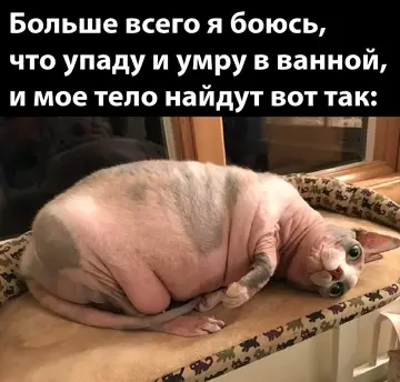 Смешная картинка №774428
