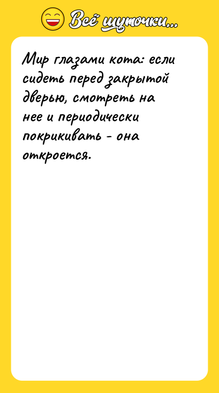 Мир глазами кота: если сидеть перед закрытой дверью, смотреть на