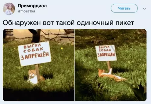Смешная картинка №505992 Недовольство растёт