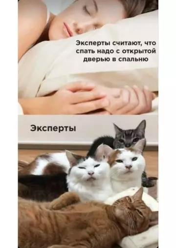 Смешная картинка №786521 Экспертовое