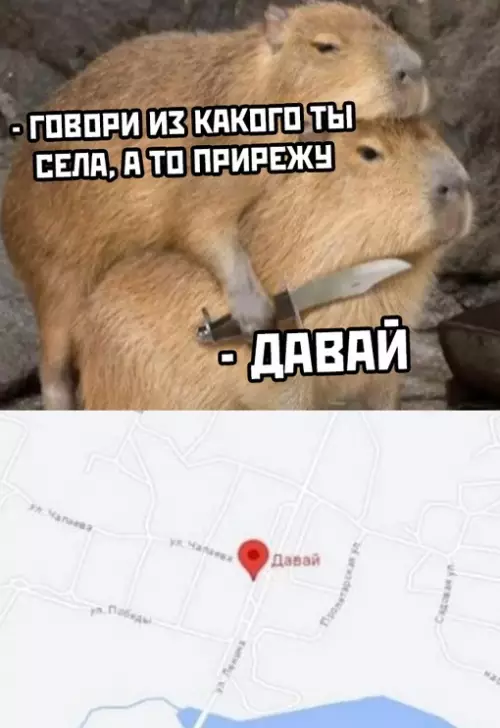 Смешная картинка №690692