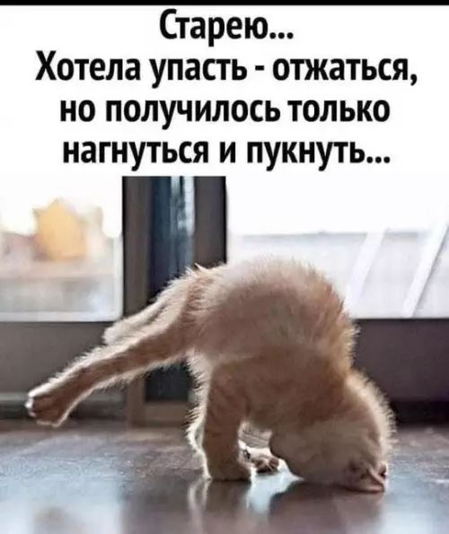 Смешная картинка №741058 Физкультуровое.