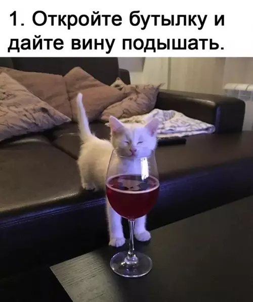 Смешная картинка №616692 Я cпacy тeбя, винишкo
